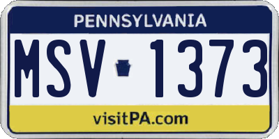PA license plate MSV1373