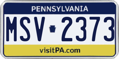 PA license plate MSV2373
