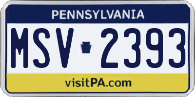 PA license plate MSV2393
