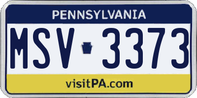 PA license plate MSV3373