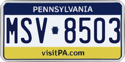 PA license plate MSV8503