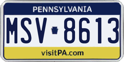 PA license plate MSV8613