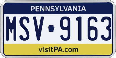 PA license plate MSV9163