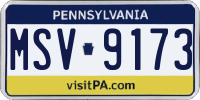 PA license plate MSV9173
