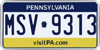 PA license plate MSV9313