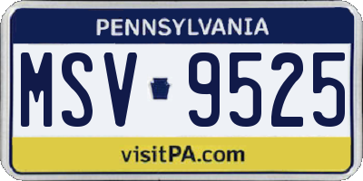 PA license plate MSV9525