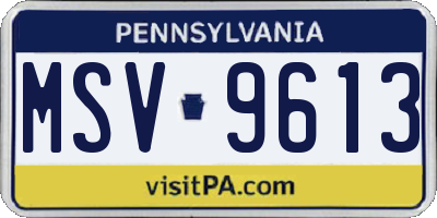 PA license plate MSV9613