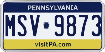 PA license plate MSV9873
