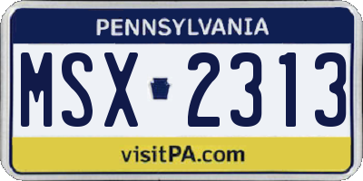 PA license plate MSX2313
