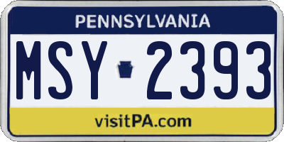 PA license plate MSY2393