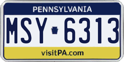 PA license plate MSY6313