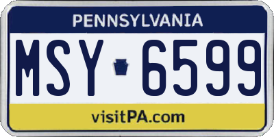 PA license plate MSY6599