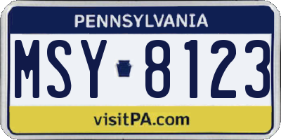 PA license plate MSY8123