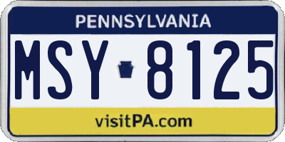 PA license plate MSY8125