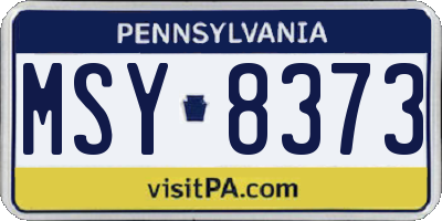 PA license plate MSY8373