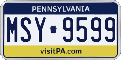 PA license plate MSY9599