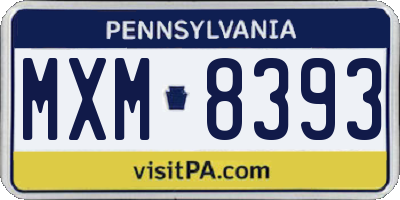 PA license plate MXM8393