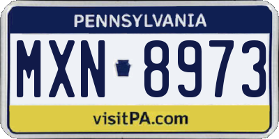 PA license plate MXN8973