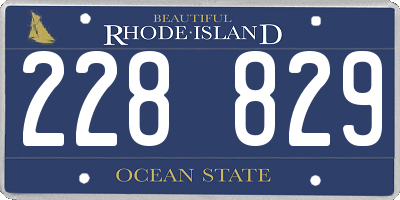 RI license plate 228829