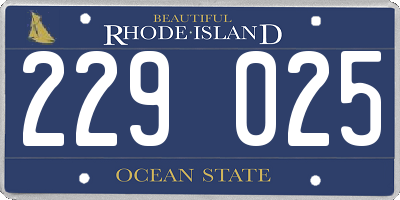 RI license plate 229025