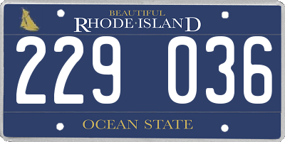 RI license plate 229036