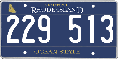 RI license plate 229513