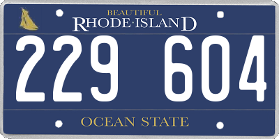 RI license plate 229604