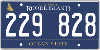 RI license plate 229828