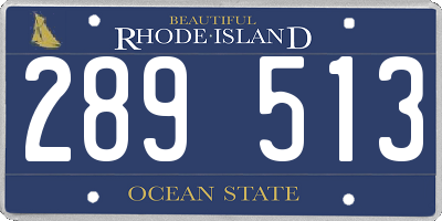 RI license plate 289513