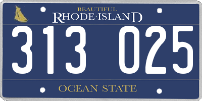 RI license plate 313025