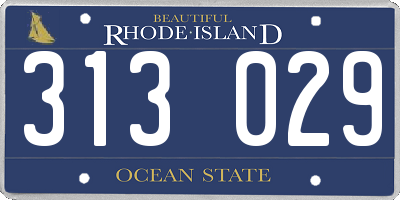 RI license plate 313029