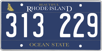 RI license plate 313229