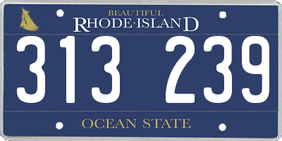 RI license plate 313239