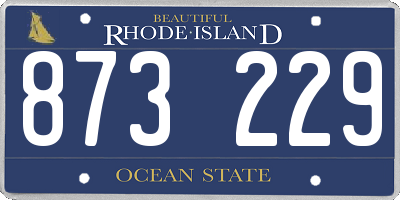 RI license plate 873229