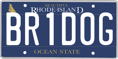 RI license plate BR1D0G