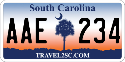 SC license plate AAE234