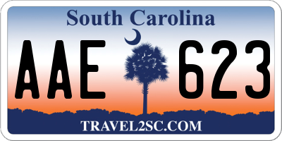 SC license plate AAE623