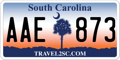 SC license plate AAE873