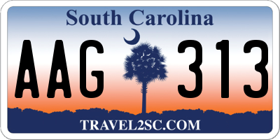 SC license plate AAG313