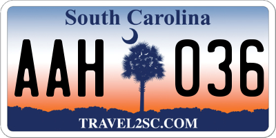 SC license plate AAH036