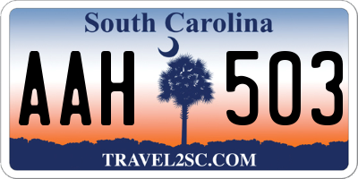 SC license plate AAH503