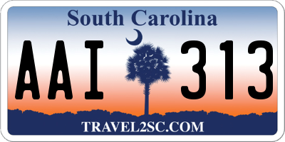 SC license plate AAI313