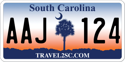 SC license plate AAJ124