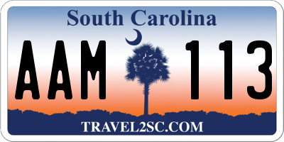 SC license plate AAM113