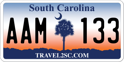 SC license plate AAM133