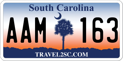 SC license plate AAM163