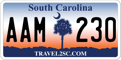 SC license plate AAM230