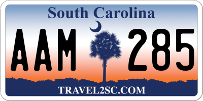 SC license plate AAM285