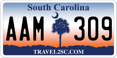 SC license plate AAM309