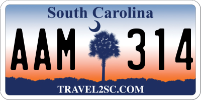 SC license plate AAM314